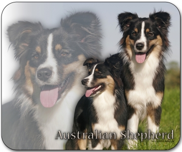 Mousepad Australian Shepherd #4